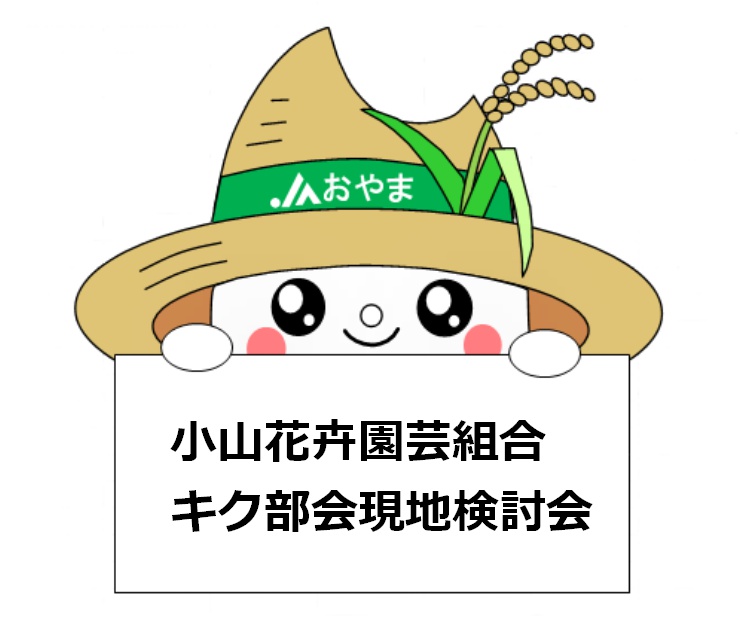 生育順調～小山花卉園芸組合キク部会現地検討会～