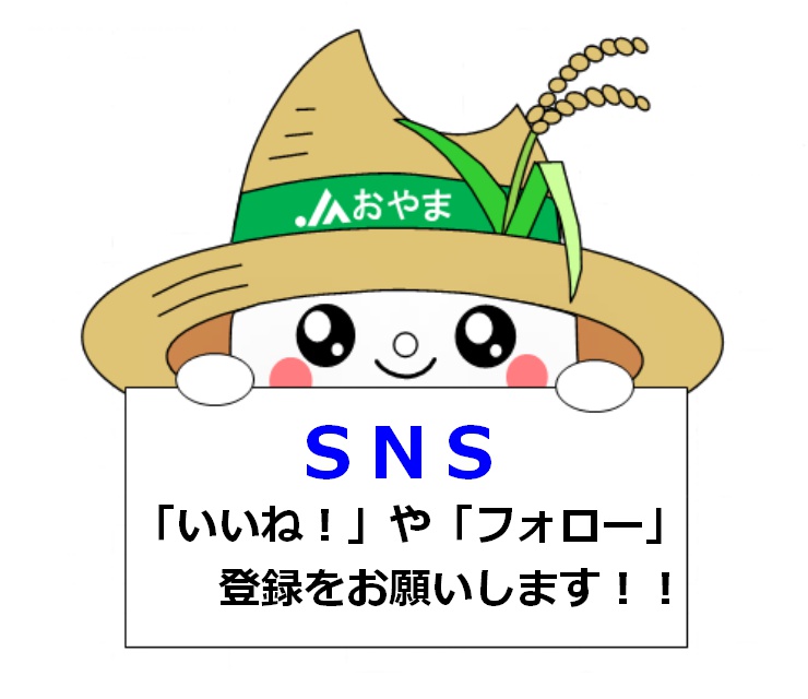 ＳＮＳ　「いいね！」や「フォロー」登録をお願いします！！