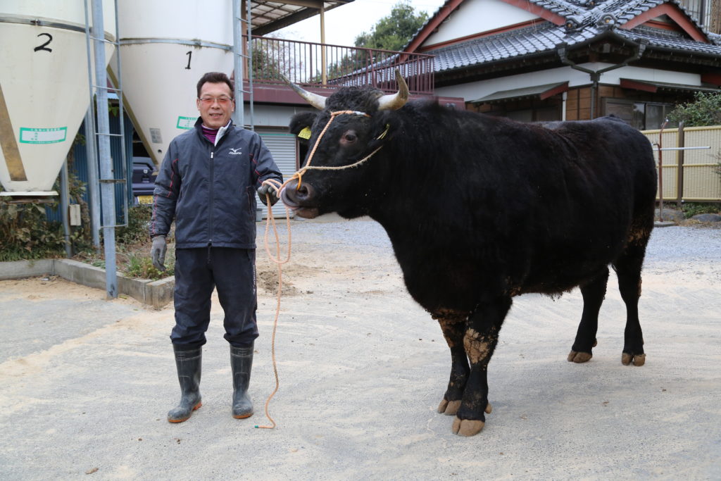 私はこれにモー夢中　人、牛も体調管理大切