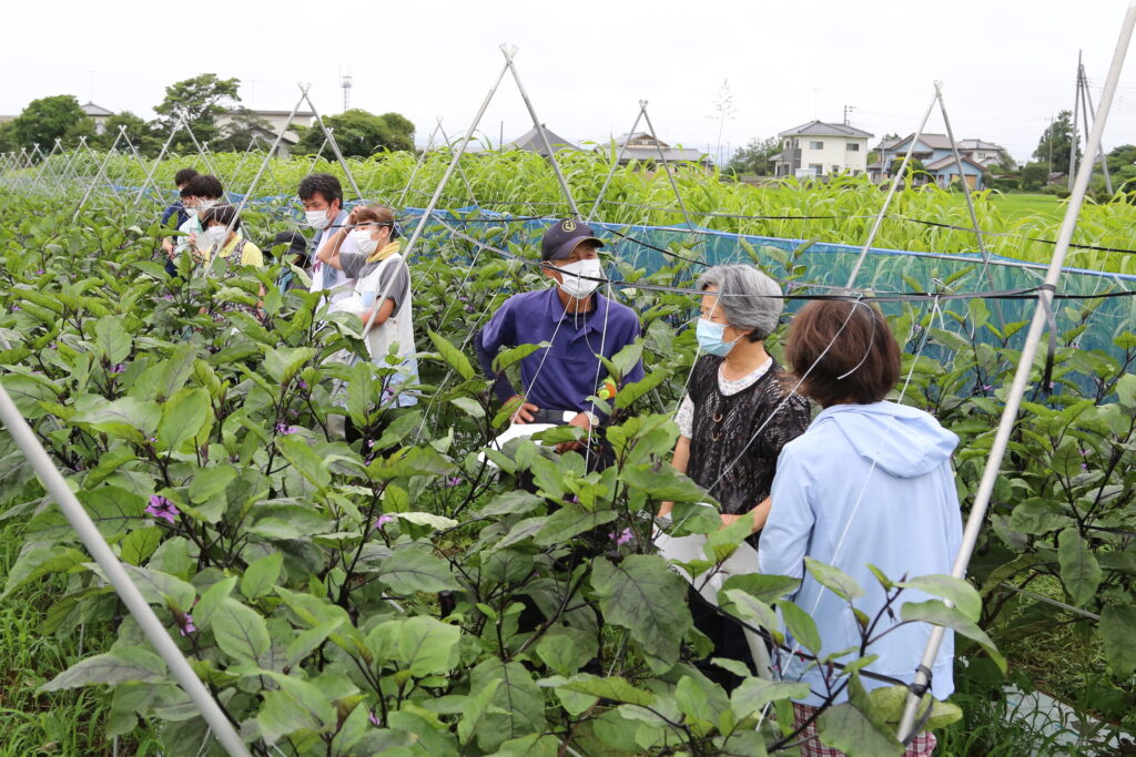 ナス生産履歴　記帳徹底促す