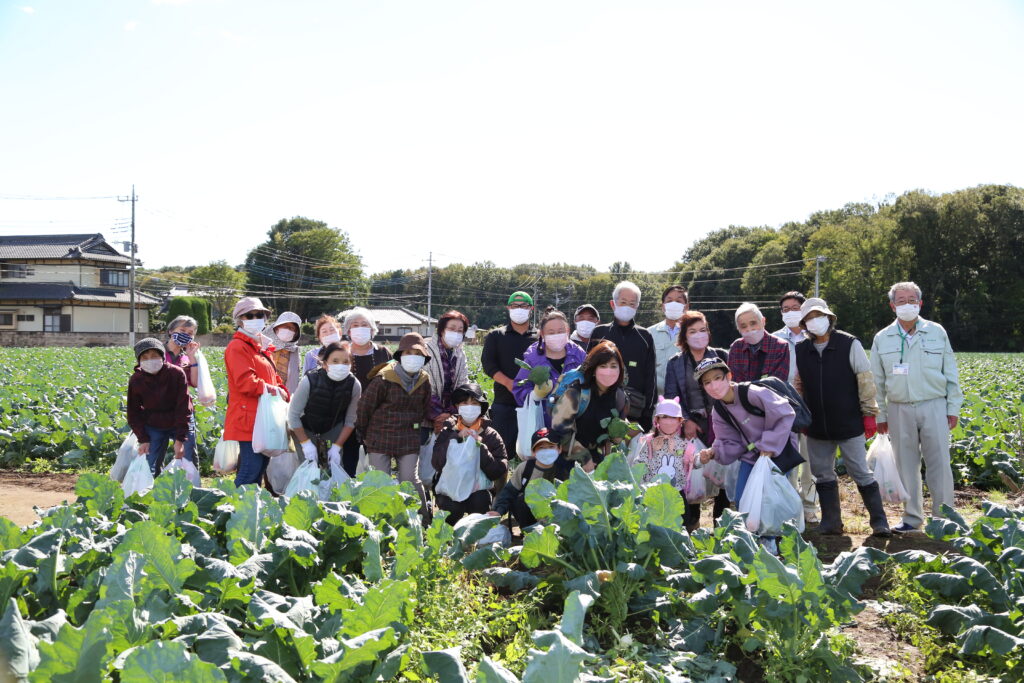 東京の消費者が参加　ブロッコリー収穫　