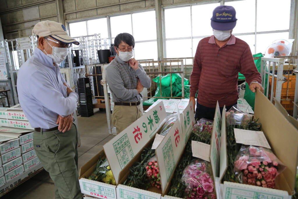 カーネ出荷規格確認