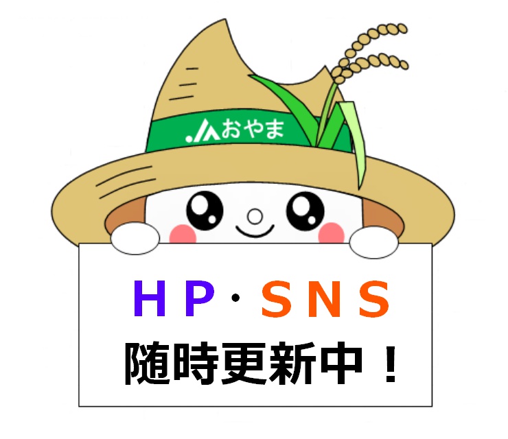 HP・SNS随時更新中！！