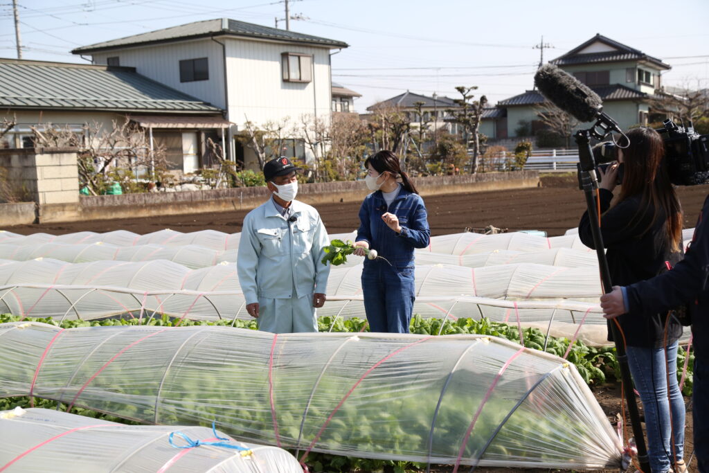 カブＰＲ　ＮＨＫ放送　ＪＡおやま部会の篠原さん