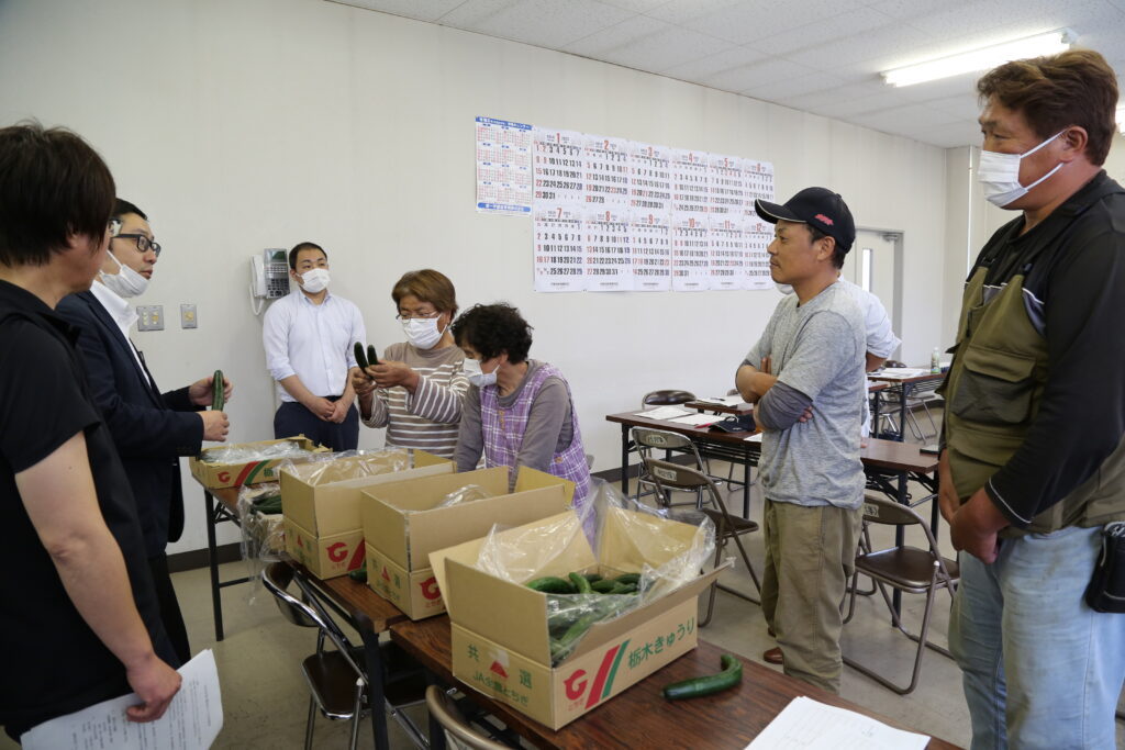 <キュウリ丁寧な管理を