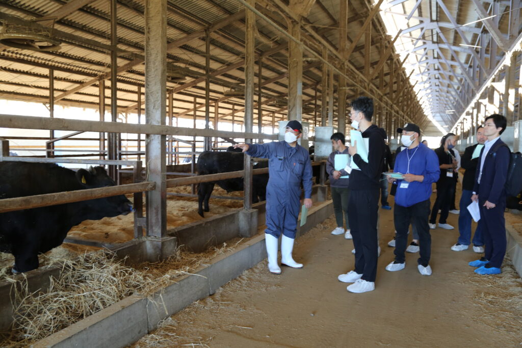 シェフ農場視察　栃木県産の利用促進へ　ＪＡおやま肥育牛部会