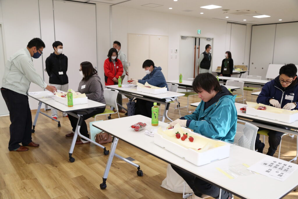 研修生受け入れへ　イチゴ詰め体験会
