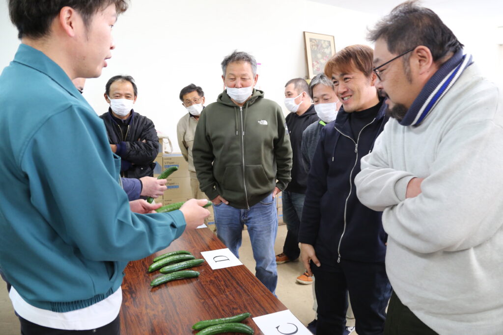 促成キュウリ出荷　連携密に有利販売