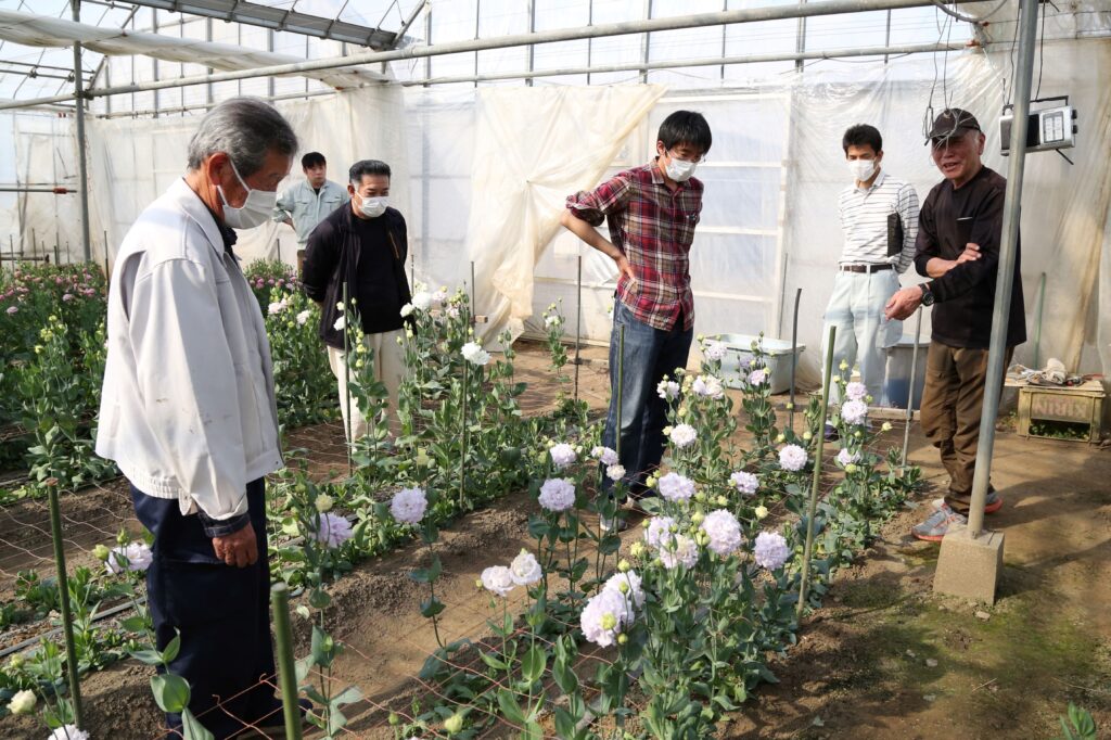 トルコギキョウ防除徹底を　現地検討で生育確認