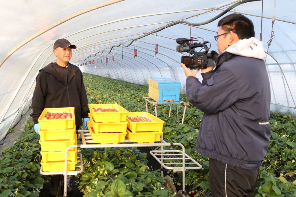 あすから初のイチゴフェア