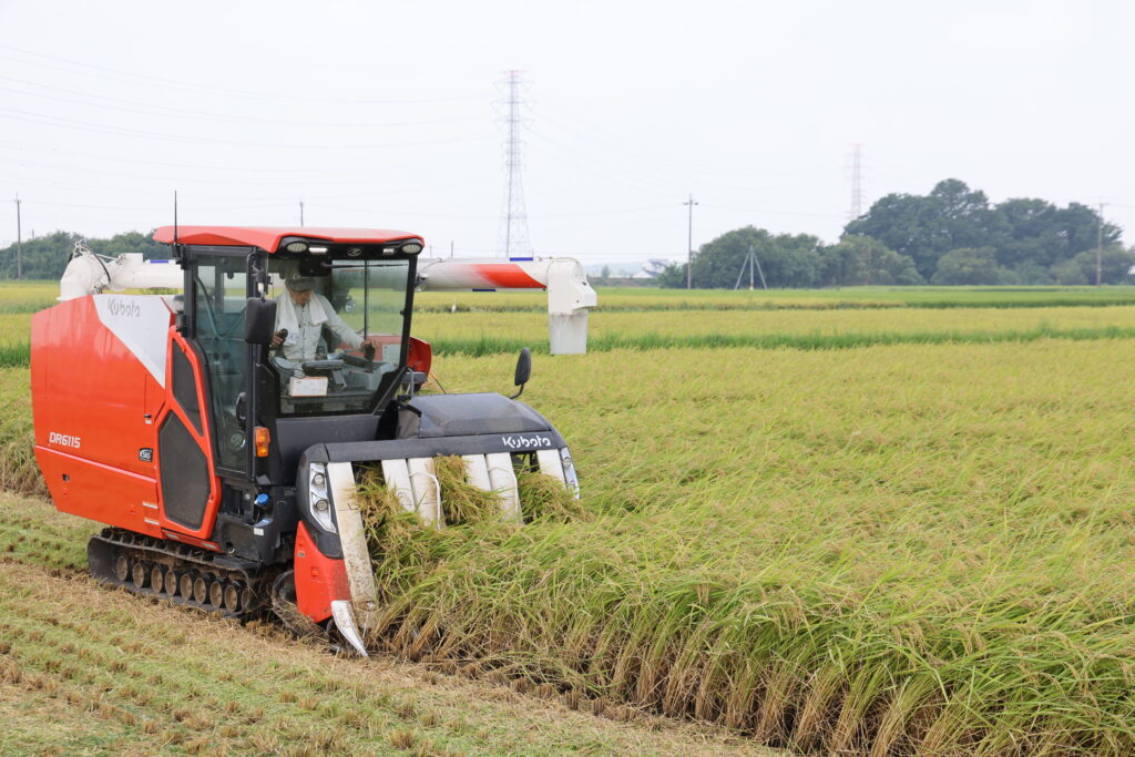 特別栽培米「生井っ子」刈り取り