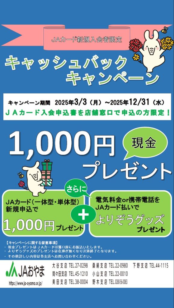 １，０００円キャッシュバック