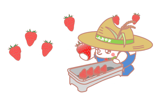 🍓新規就農塾いちご農家研修生募集🍓